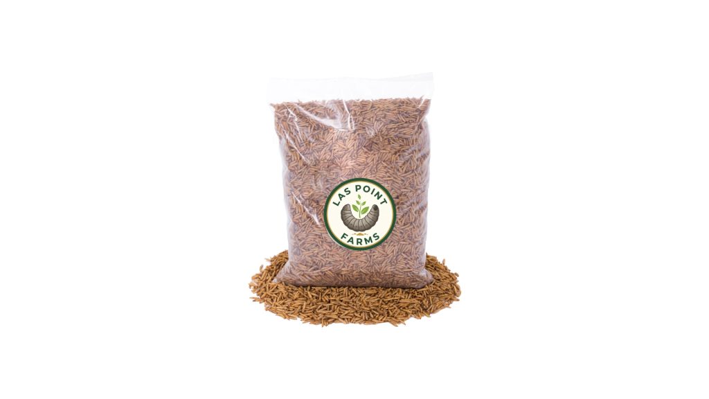 Air dried Black Soldier fly larvae BSF