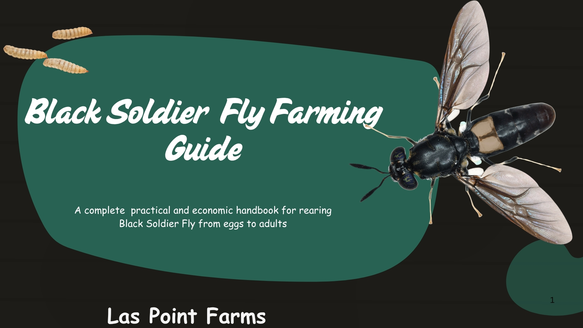 Black Soldier Fly farming handbook