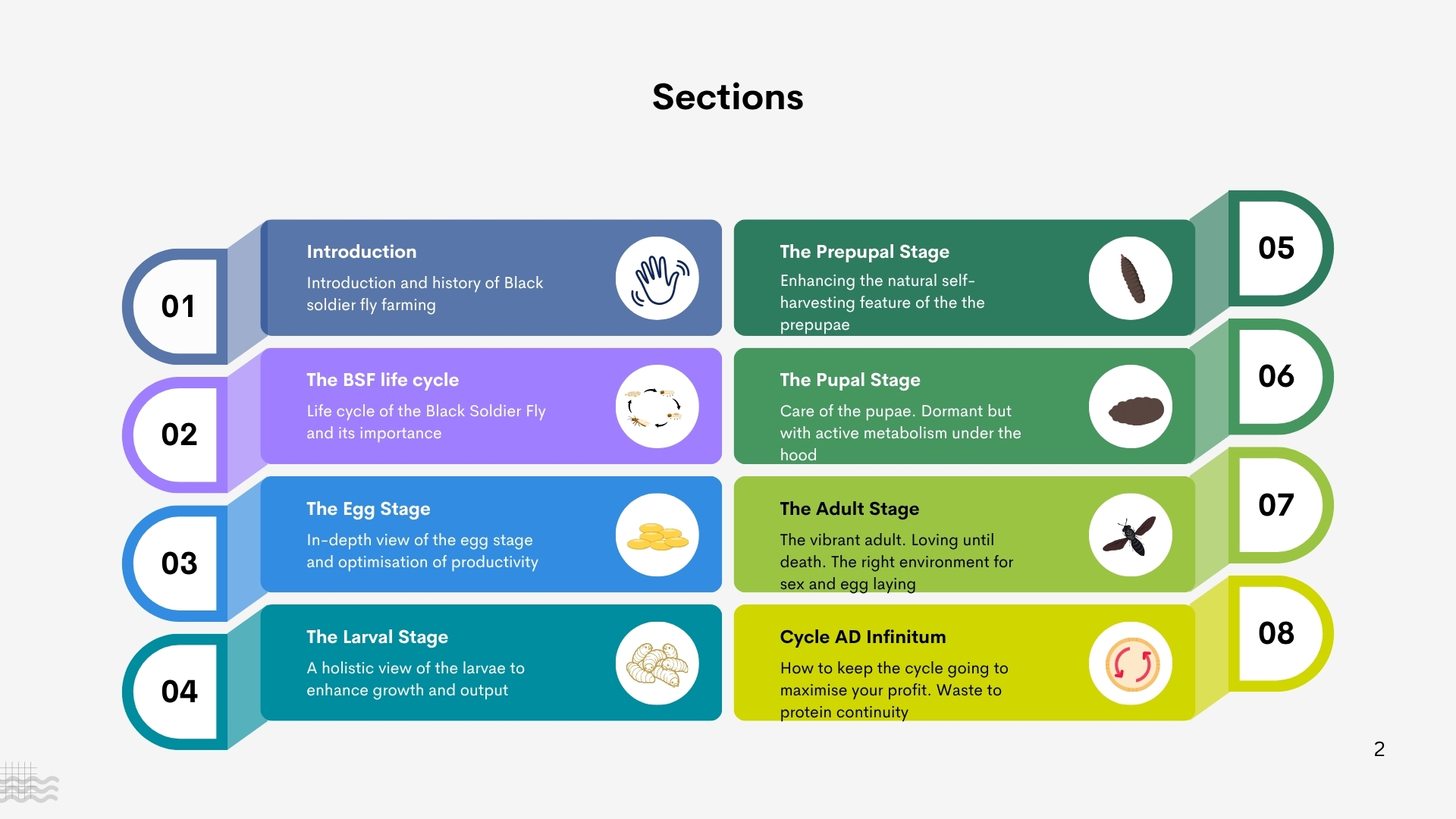 Black Soldier Fly farming handbook - Image 3